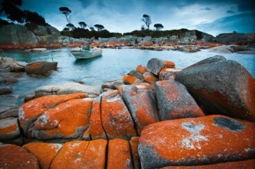 roadtrip-hobart-to-launceston-via-freycinet