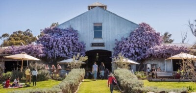 roadtrip-sydney-to-mudgee-lowe-wines-family-Travellarks-Getaways.