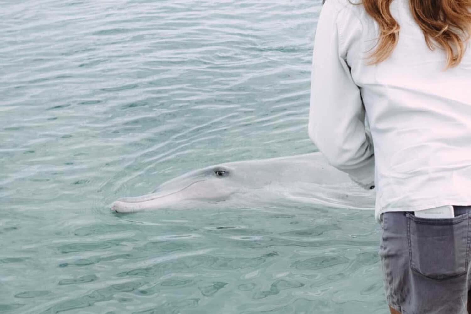 things-to-do-wallis-lake Travellarks, Things to do arond Wallis Lakes, Barrington Coast NSW